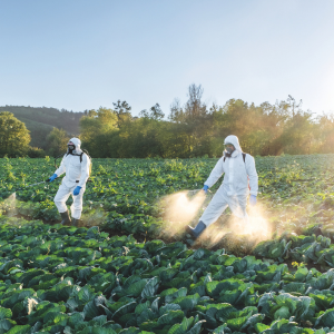 View All Pest & Disease Control
